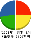 竹内組 貸借対照表 2009年11月期