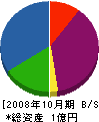 エス・ケイエンジニアリング 貸借対照表 2008年10月期