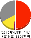 小野澤工業 損益計算書 2010年4月期