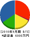 田中板金塗装 貸借対照表 2010年9月期