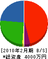 鶴井建設 貸借対照表 2010年2月期