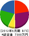 大島工務店 貸借対照表 2012年6月期