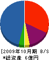 友愛システム 貸借対照表 2009年10月期