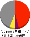 日本コンクリート 損益計算書 2010年6月期