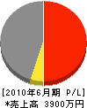 吉田総合開発 損益計算書 2010年6月期