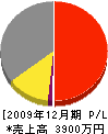 山本鉄工所 損益計算書 2009年12月期