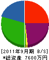 青山電気 貸借対照表 2011年9月期