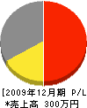 田中良工務店 損益計算書 2009年12月期