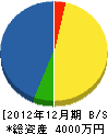 東電気商会 貸借対照表 2012年12月期