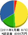イマムラ工業 貸借対照表 2011年6月期