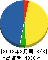 藤川電気 貸借対照表 2012年9月期