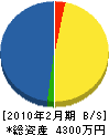 山崎電気商会 貸借対照表 2010年2月期
