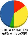 桜組 貸借対照表 2009年12月期