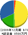 渡邊組 貸借対照表 2009年12月期