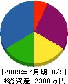 沢村建設 貸借対照表 2009年7月期