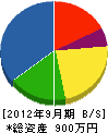 柳井電設工業 貸借対照表 2012年9月期