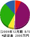 寺田設備 貸借対照表 2009年12月期