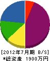 蛭田電機商会 貸借対照表 2012年7月期