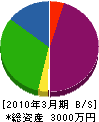 田中板金工業所 貸借対照表 2010年3月期