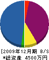 まる二藤田建築業 貸借対照表 2009年12月期