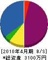 小佐野工業 貸借対照表 2010年4月期