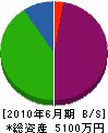 上野組 貸借対照表 2010年6月期
