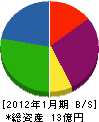 日本放射線防禦 貸借対照表 2012年1月期