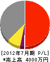渡邉建設 損益計算書 2012年7月期