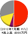 渡辺電機サービス 損益計算書 2012年7月期