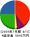 大塚機工 貸借対照表 2009年7月期