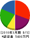 七ヶ浜電工 貸借対照表 2010年3月期