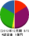 小坂工務店 貸借対照表 2012年12月期