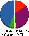 タナベ興建 貸借対照表 2009年10月期