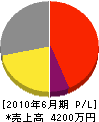 亀井鐵工 損益計算書 2010年6月期