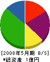 柴田産業 貸借対照表 2008年5月期
