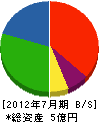 塚越産業 貸借対照表 2012年7月期