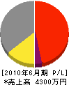 宮崎建設 損益計算書 2010年6月期