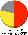 百田電気 損益計算書 2012年5月期