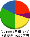 飯岡電気商会 貸借対照表 2010年9月期