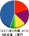千葉ライナー 貸借対照表 2011年9月期