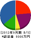 中山電業 貸借対照表 2012年9月期