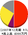 竹田興業 損益計算書 2007年12月期