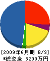 文京電気 貸借対照表 2009年6月期