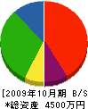 三誠通信システム 貸借対照表 2009年10月期
