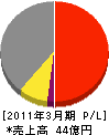 日本板硝子環境アメニティ 損益計算書 2011年3月期