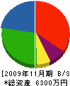 仙波設備工業 貸借対照表 2009年11月期