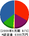 武富ガラス 貸借対照表 2008年6月期