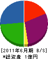 藤田電気工業 貸借対照表 2011年6月期