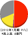 中川堂 損益計算書 2012年1月期