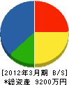 南勇次郎商店 貸借対照表 2012年3月期